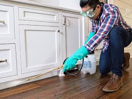 Best Real Estate Pest Inspections  in Riverside, NY